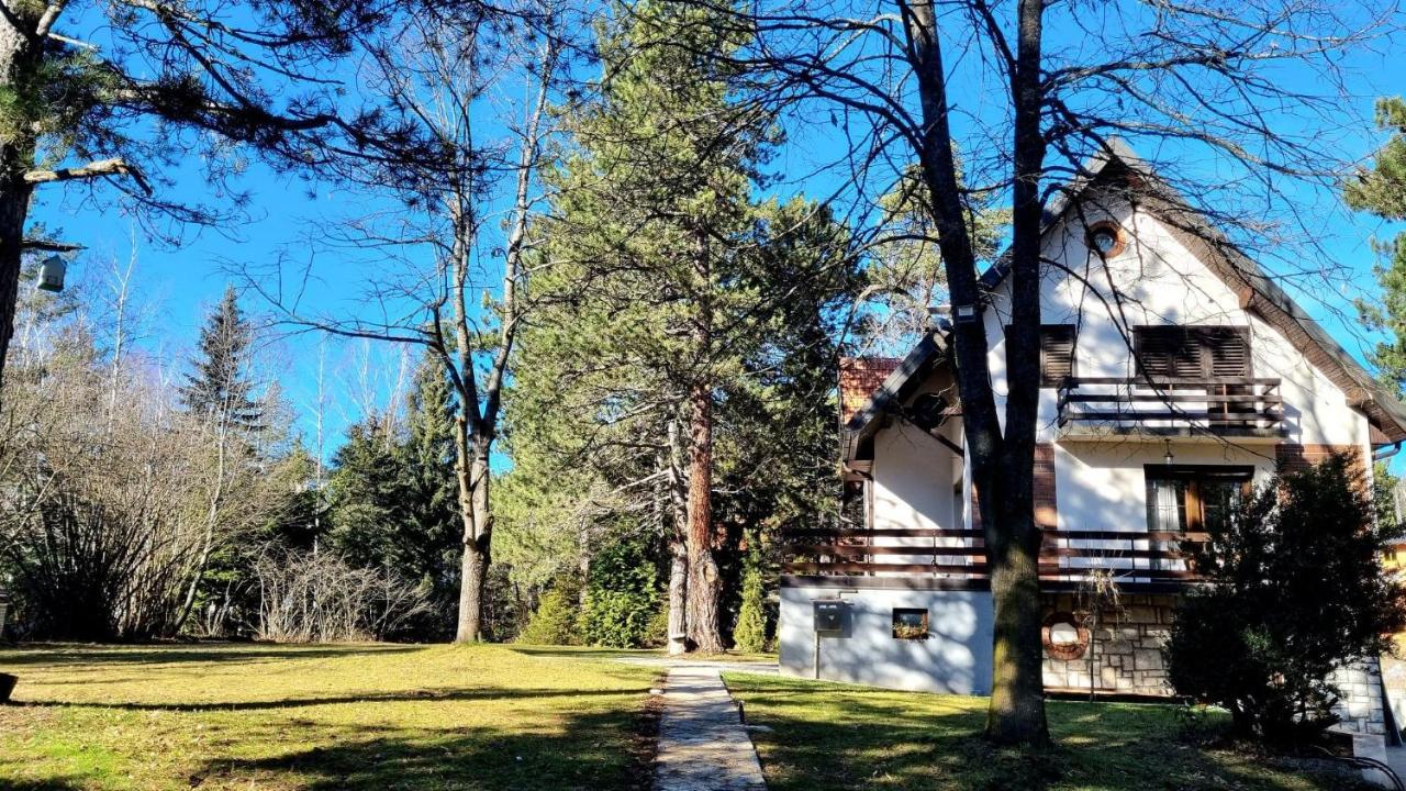 Vila Lucic Zlatibor Apartment Exterior photo