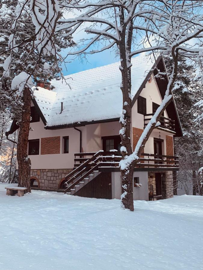 Vila Lucic Zlatibor Apartment Exterior photo