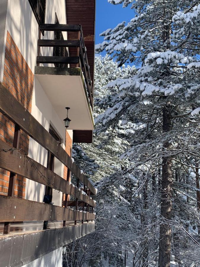 Vila Lucic Zlatibor Apartment Exterior photo