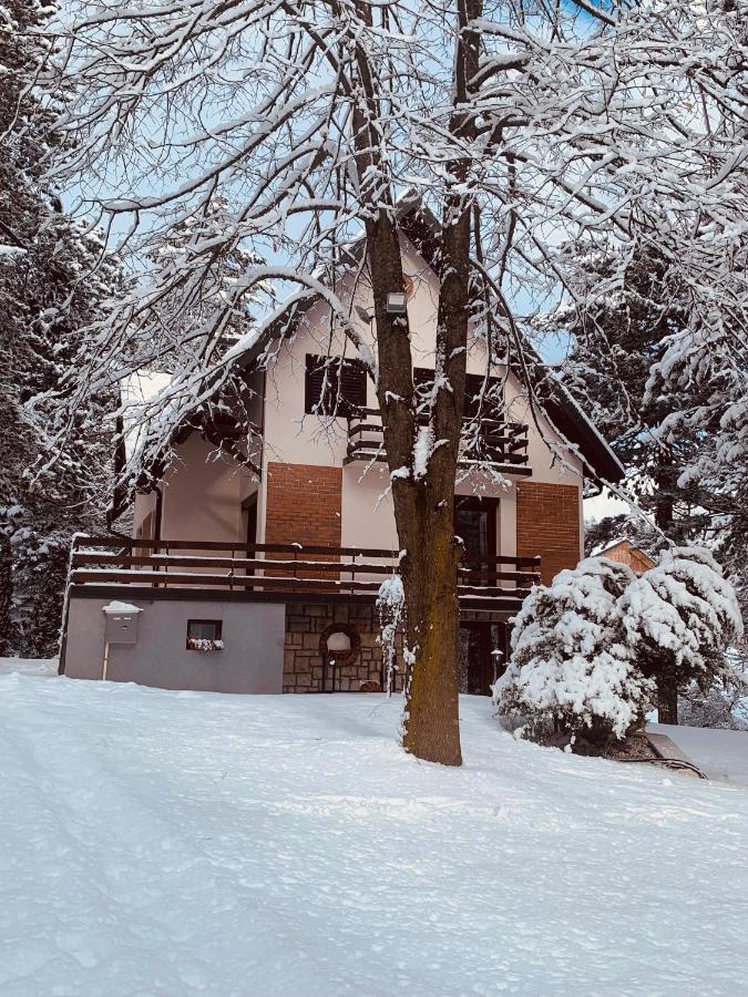 Vila Lucic Zlatibor Apartment Exterior photo